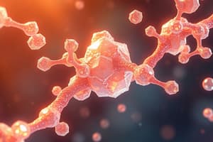 Carbohydrate Chemistry and Biological Roles