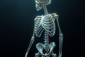 Skeletal System Composition Quiz