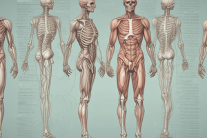 Embalming Theory Terms Bell Ringer 1