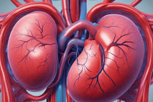 Liver Blood Flow Sources and Functions Quiz