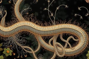 Nematodes and Phasmids Quiz