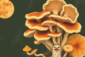 Kingdom Fungi Overview Quiz