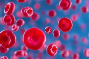 Immune Thrombocytopenic Purpura (ITP) Overview