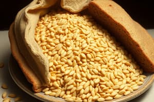 Carbohydrates and Whole Grains