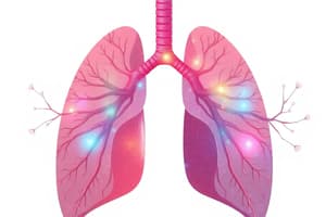 Respiratory System Overview