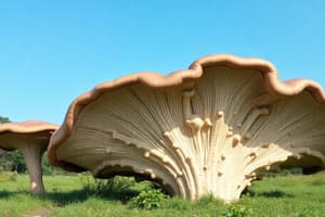 Humongous Fungus and Bessie Coleman Quiz