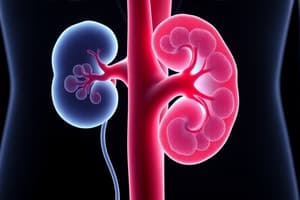 L1 Endocrinal function of kidney (P2 Hard)