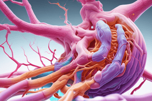 Cephalic Phase of Gastric Secretion Pathway