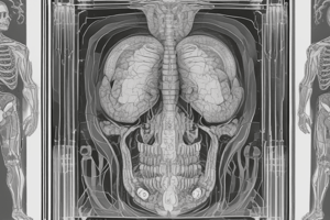 Computed Tomography (CT) Scan Principle