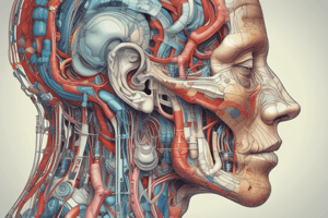 Human Hearing and Auditory System