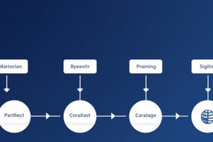 Business Operations and Value Chain Analysis