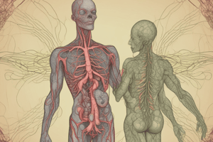 Lymphatic System: Functions, Components, and Regulation