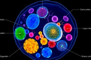 3:Cell Specialization and Organelles Quiz