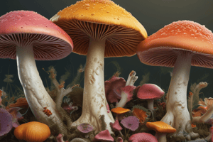 Fungi Types and Reproduction Quiz