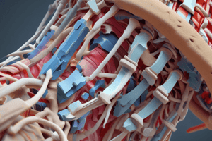 Spinal Shear Forces and Movements Quiz