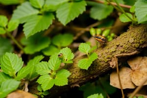 Biology Ecosystems Quiz