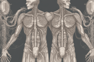 Urinary System Functions