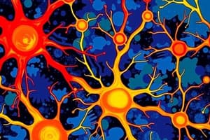 Neurons and Neurogenesis Overview