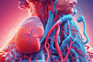 Respiratory and Cardiovascular System Quiz