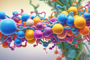 Pentose Phosphate Pathway Overview