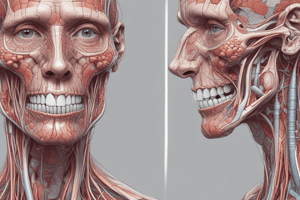 Salivary Glands Anatomy and Clinical Considerations