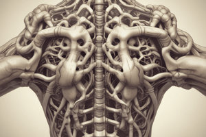 Bones of the Vertebral Column