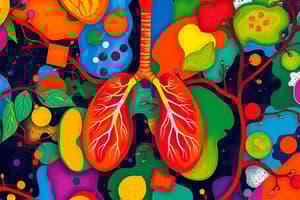 Cellular Respiration, Photosynthesis and Metabolism