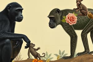 Mammal & Primate Traits