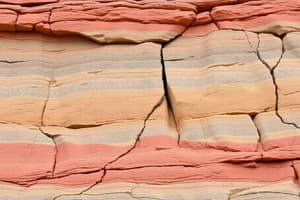 Sedimentary Rocks and Processes Quiz