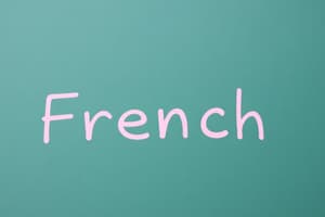 French Grammar and Vocabulary Quiz