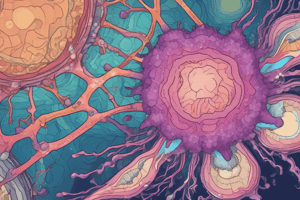 Lymphoid System in Histology