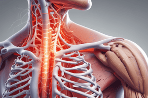 Musculoskeletal Chest Pain Syndrome