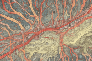 Trastornos de la Unión Neuromuscular: Miastenia Gravis