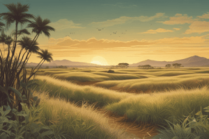 Tropical Grasslands and Savannas