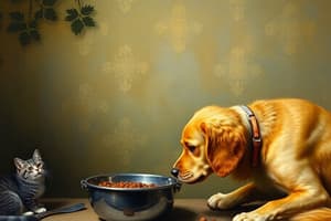 Dog and Cat Feeding Management