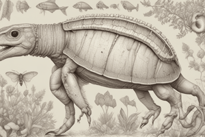 Phyla of Animals: Porifera, Cnidaria, Platyhelminthes, and Nematoda