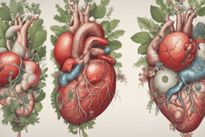 Organs and Organ Systems