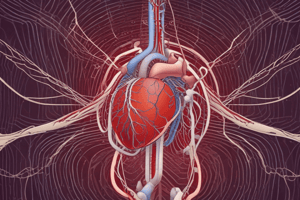 Cardiovascular System: Arteries and Veins