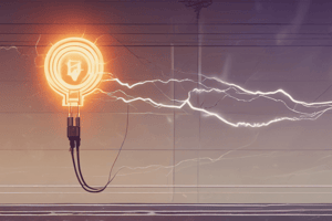 Electric Current and Ohm's Law Quiz