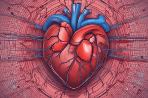 Common Heart Conditions and Diseases