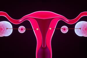 Ovarian Cycle and Follicle Development