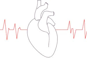 Fisiologia Cardiaca e Consumo di Ossigeno (Fisiologia 25)