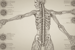 Anatomy of the Autonomic Nervous System