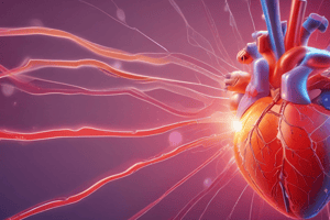 Ch 13 - part 1   Cardiac Conduction System Quiz