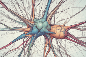 Tipos de Neuronas