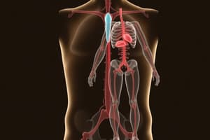 Human Growth & Endocrine System Overview