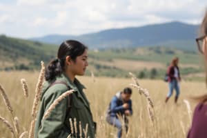 Estrategias de Observación y Diario de Campo