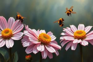 Interactions plantes - pollinisateurs