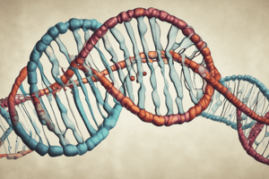 Restriction Endonucleases