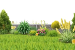 Lawn Care and Grass Types Quiz